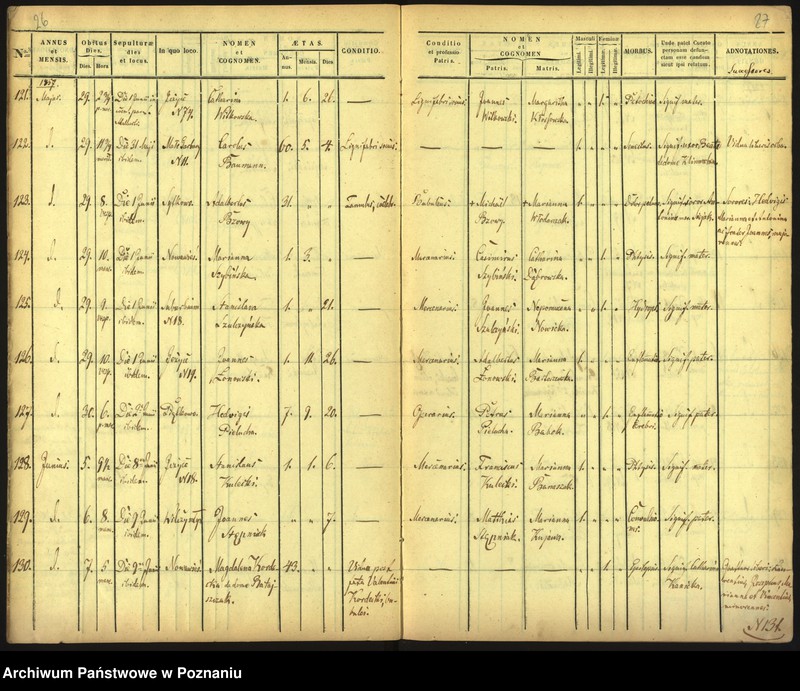 Obraz 16 z jednostki "Księga zgonów"