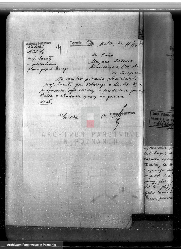 Obraz 18 z jednostki "Sprawa lasów majątku Sacały powiat kolski gmina Koźmin"