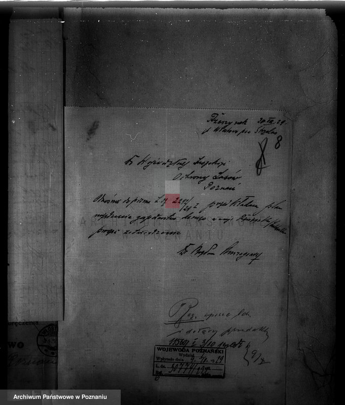 Obraz 13 z jednostki "/Majętność leśna Rzeszynek powiat mogileński"