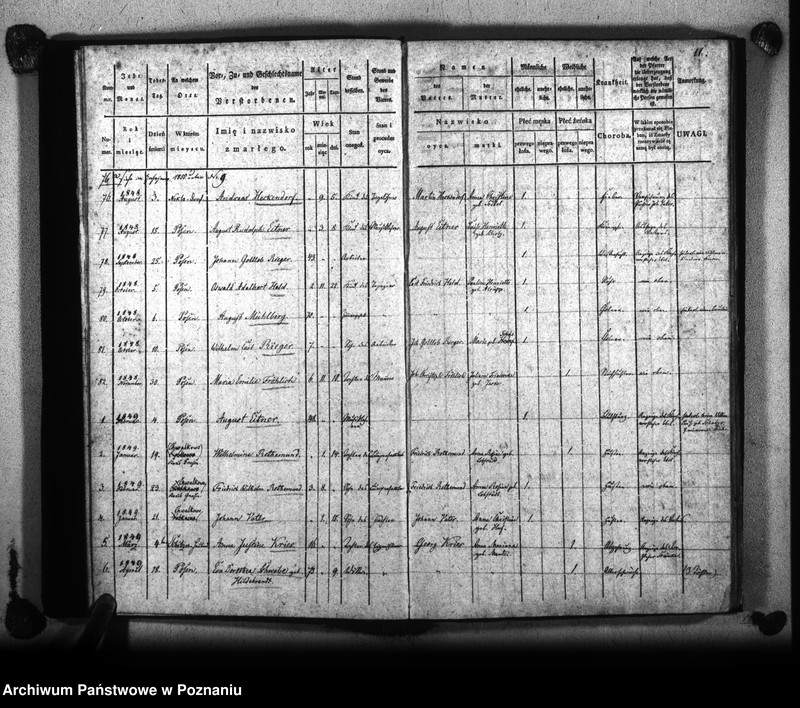 Obraz 15 z jednostki "Księga zejścia"