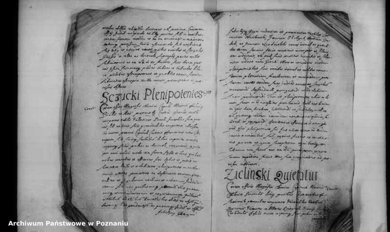 Obraz 8 z jednostki "Inscriptiones [inducta]"