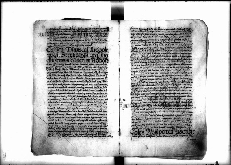 Obraz 7 z jednostki "Inscriptiones [inducta]"