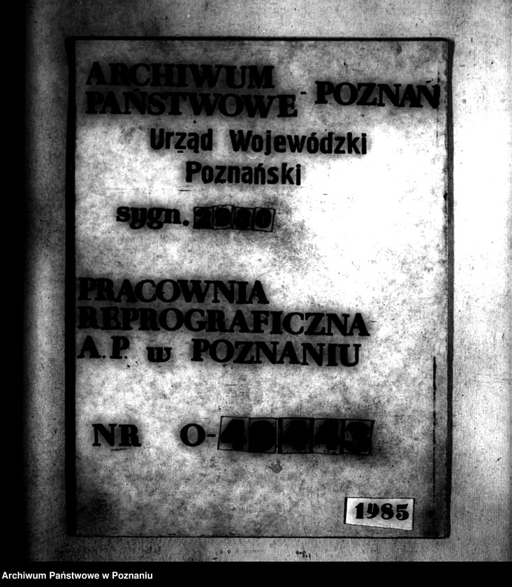 Obraz 1 z jednostki "Wyciągi z rejestru pomiarowego gromady Czajcze powiatu wyrzyskiego"