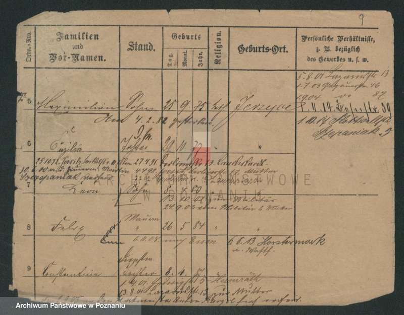 Obraz 19 z jednostki "Skrzypczak (żonaci - samotni mężczyźni)"