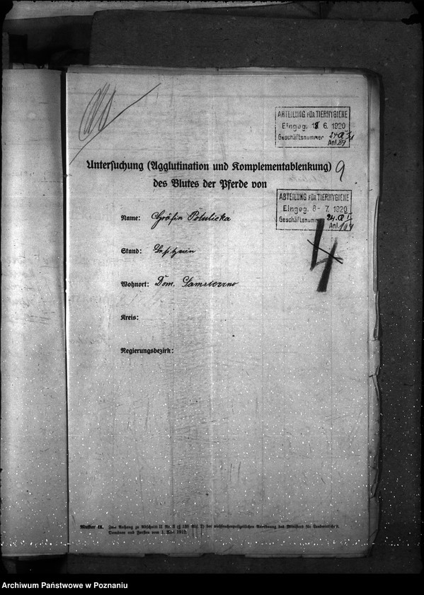 Obraz 13 z jednostki "Nosacizna - Bydgoszcz"