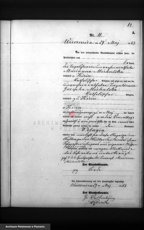 Obraz 13 z jednostki "Księga urodzeń"