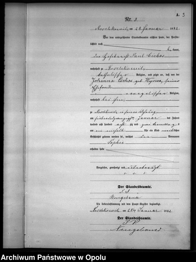 image.from.unit.number "Geburts-Neben-Register Standesamts Roschkowitz pro 1882"