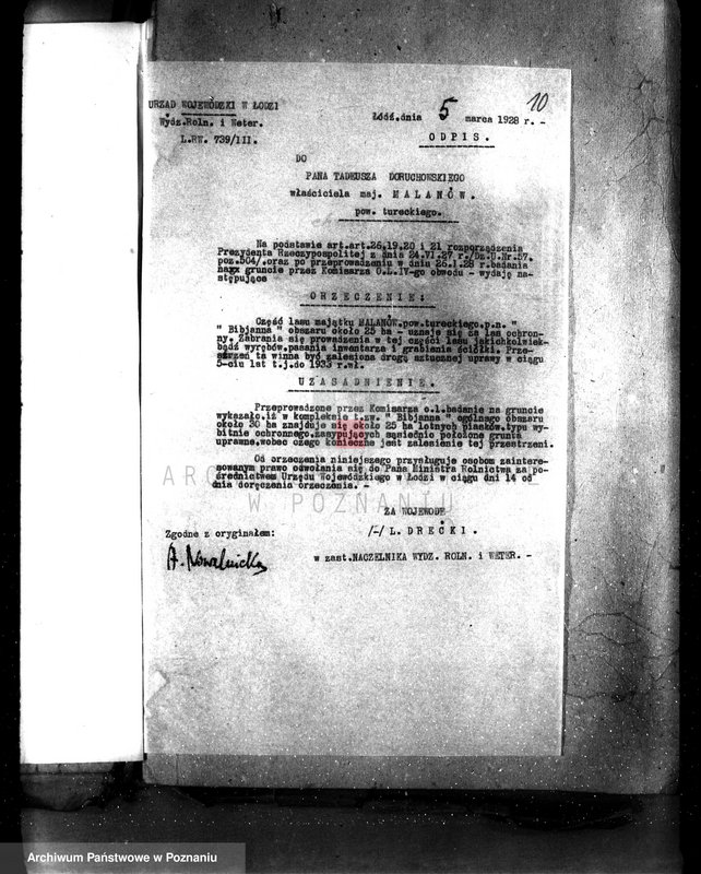 Obraz 17 z jednostki "Uznanie za ochronne powierzchni około 25 ha terenów leśnych pod nazwą,,Bibianna" należących do majątku Malanów powiat turecki"