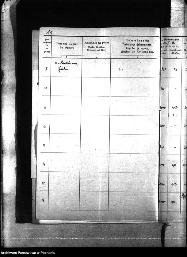 Obraz 15 z jednostki "Nosacizna - Międzychód"
