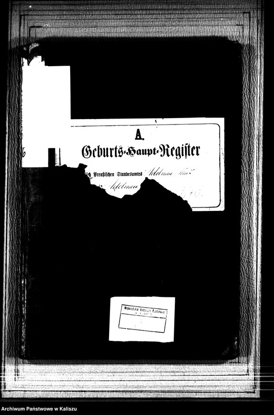 image.from.unit.number "[Księga urodzeń]"