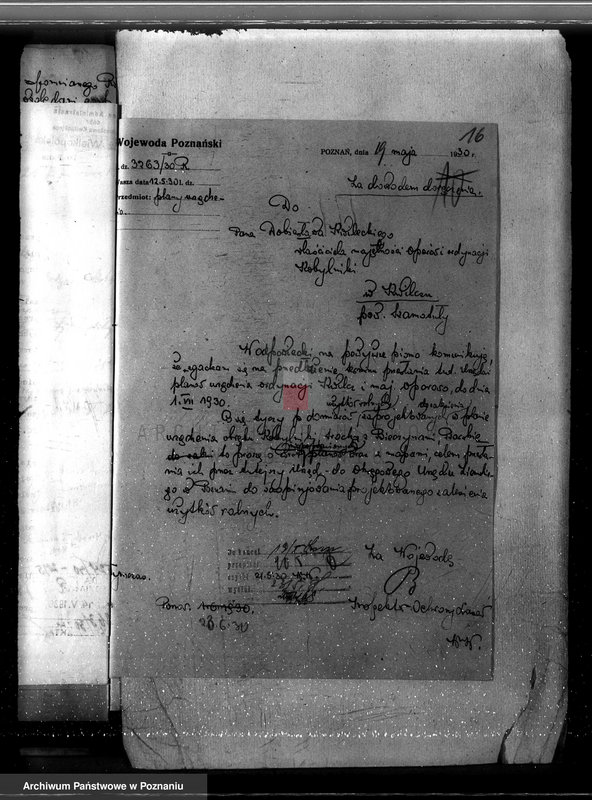 Obraz 20 z jednostki "Nadzór nad gospodarką w lasach majętności Kobylniki powiat kościański"