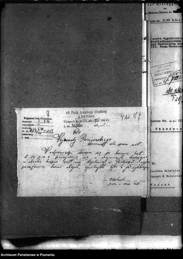 Obraz 11 z jednostki "Sprawy szczegółowo-Nosacizna"