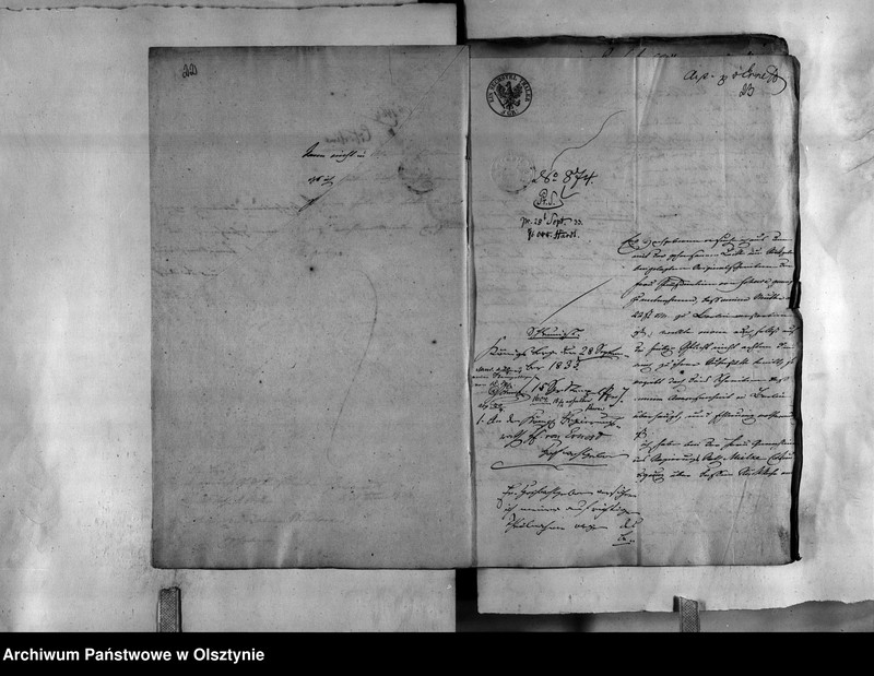 image.from.unit.number "Regierungs-Rath von Ernest"