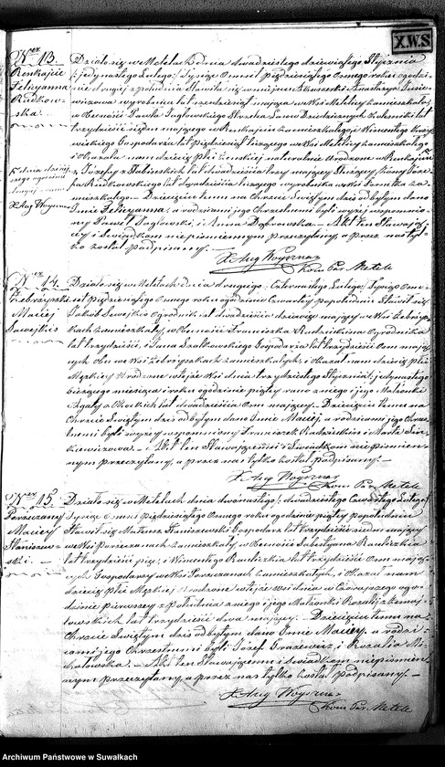 Obraz 10 z jednostki "D.L. P. Metel 1858"