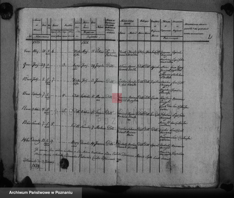 Obraz 5 z jednostki "Duplikat baptisatorum"