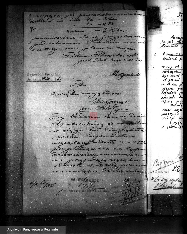 Obraz 12 z jednostki "Majętność leśna Kiełpiny powiat wolsztyński"