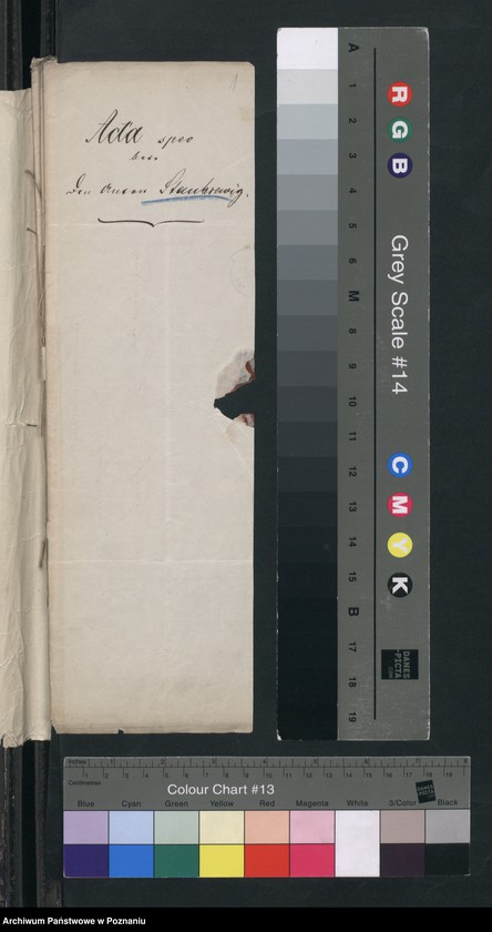 Obraz 4 z jednostki "A. betr. den Anton Stankiewicz, Joseph Stasiński, Heinrich von Stecki, Joseph von Stefański, Stanislaus Stefański"