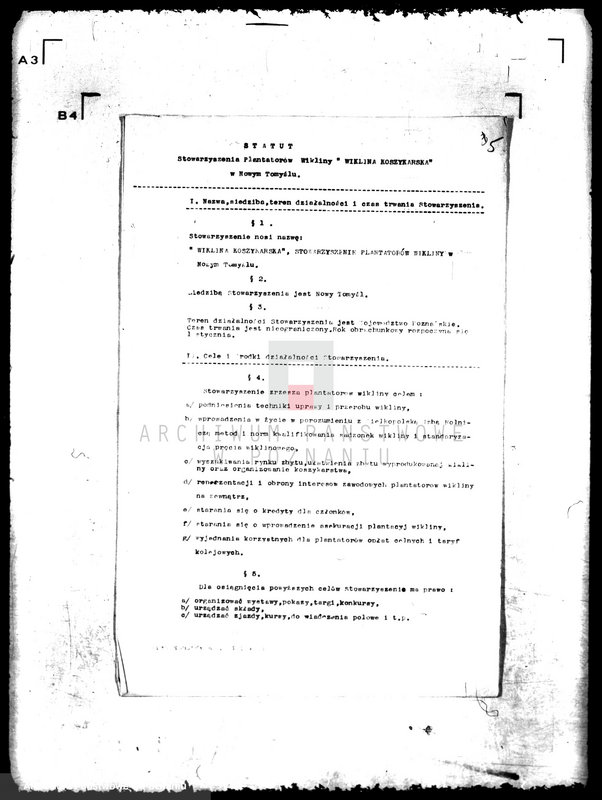 Obraz 9 z jednostki "/Stowarzyszenie Plantatorów Wikliny Wiklina Koszykarska/"