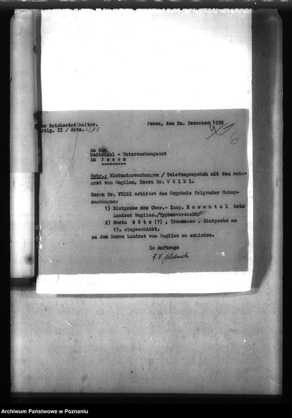 Obraz 10 z jednostki "Typhus"