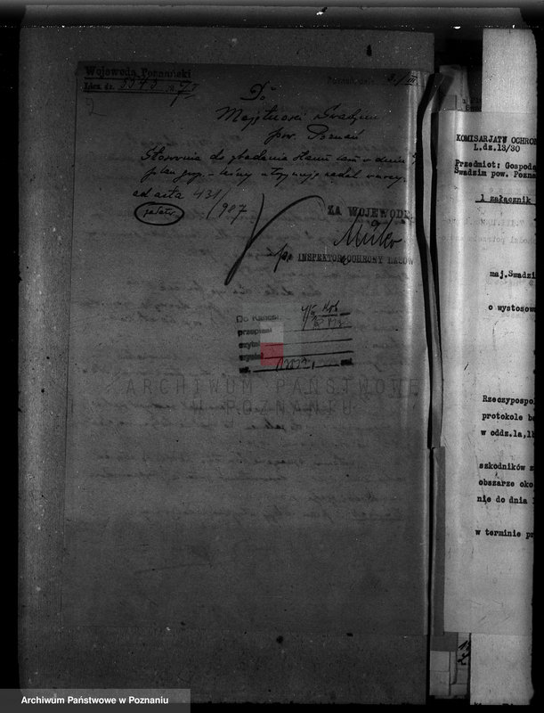 Obraz 6 z jednostki "Majętność leśna Swadzim powiat poznański"