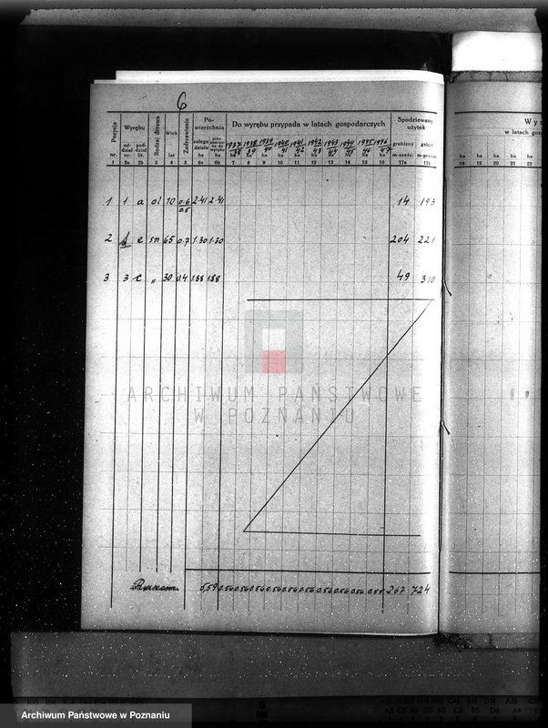 Obraz 10 z jednostki "Plan urządzenia gospodarstwa leśnego dla lasu majętności Buszewko powiat szamotulski 1937-1947"