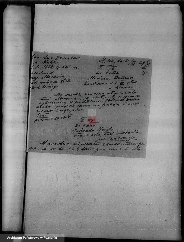 Obraz 11 z jednostki "Wyłączenie obszarów leśnych majątku Morawin powiat kaliski"