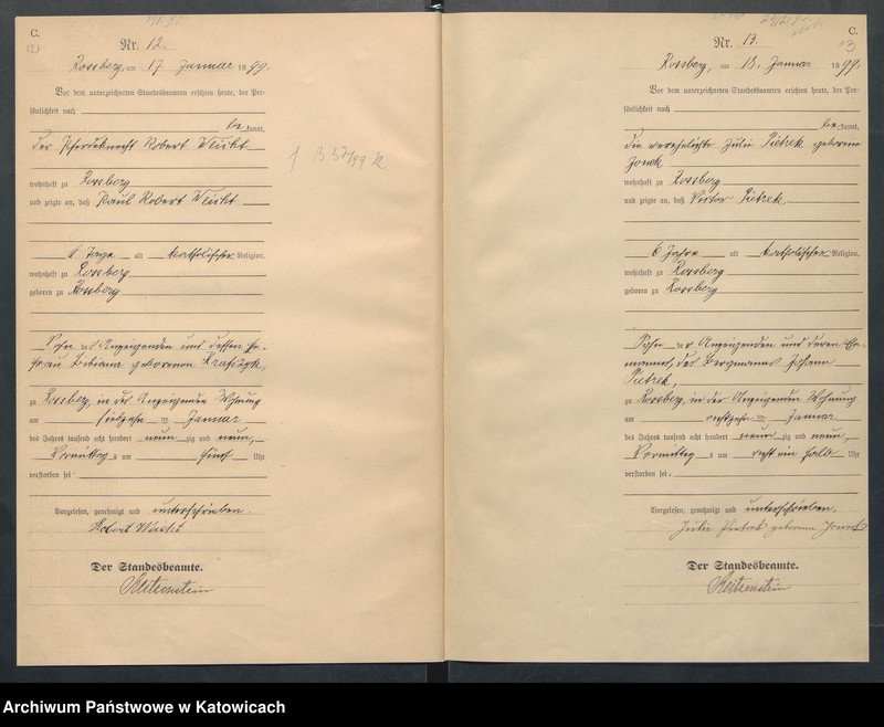 Obraz 10 z jednostki "Księga zgonów nr 1-409"