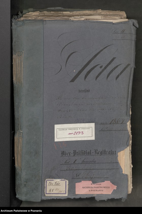 Obraz 2 z jednostki "Die von den Landräten der polnischen Grenzkreise über die öffentlichen Zustände zu erstattenden Wochenberichte."