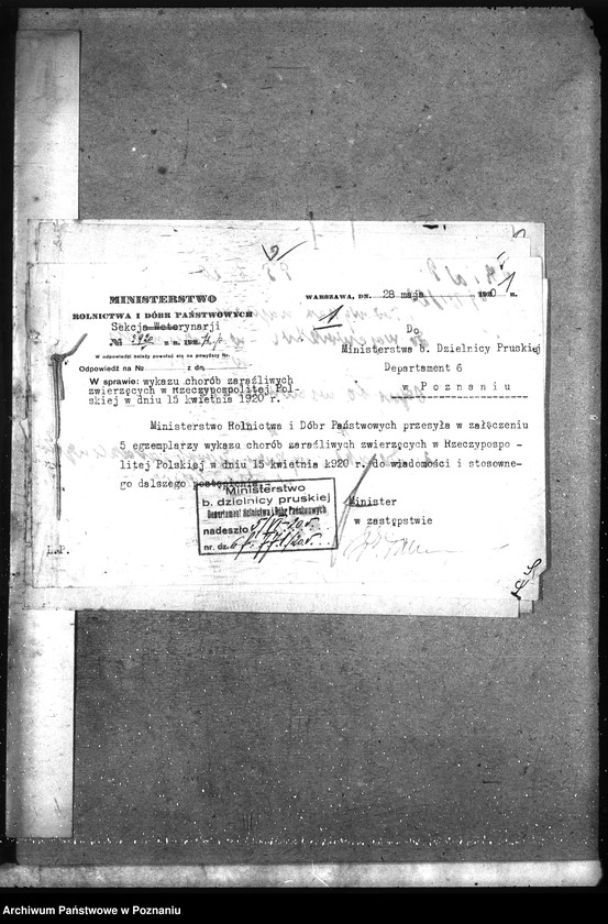 Obraz 5 z jednostki "Wykaz chorób zwierzęcych zaraźliwych w Rzeczypospolitej Polskiej"