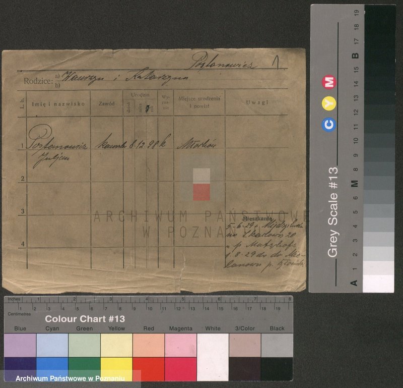 Obraz 3 z jednostki "Postanowicz - Powalisz"