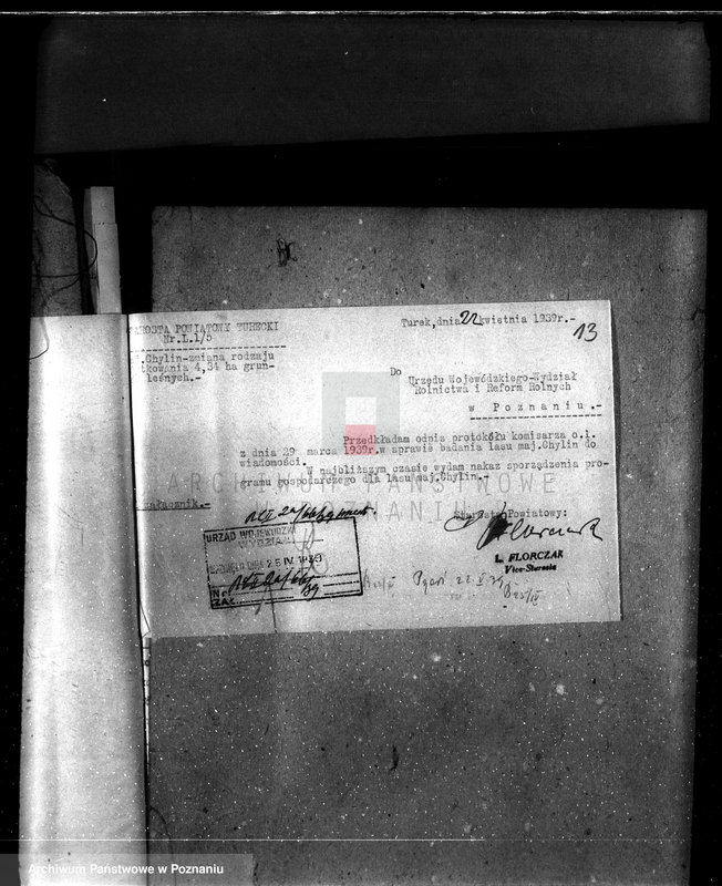 Obraz 17 z jednostki "Gmina Piorunów powiat turecki /nadzór nad gospodarką leśną/"