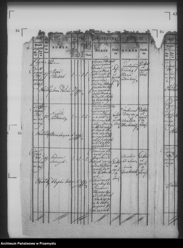 Obraz 10 z jednostki "[Kopie ksiąg metrykalnych parafii Żużel z filią Cebłów (dekanat Bełz)]"