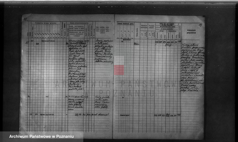 Obraz 18 z jednostki "Probostwo Stoki" powiat międzychodzki plan urządzenia gospodarstwa leśnego"