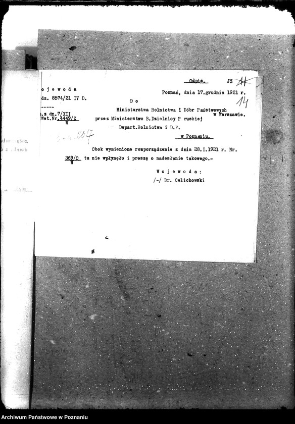 Obraz 18 z jednostki "Weterynaria"