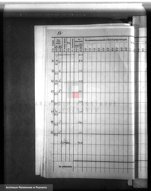 Obraz 19 z jednostki "Dodatkowy plan urządzania lasu dla lasu majątku Lubosz powiatu międzychodzkiego"