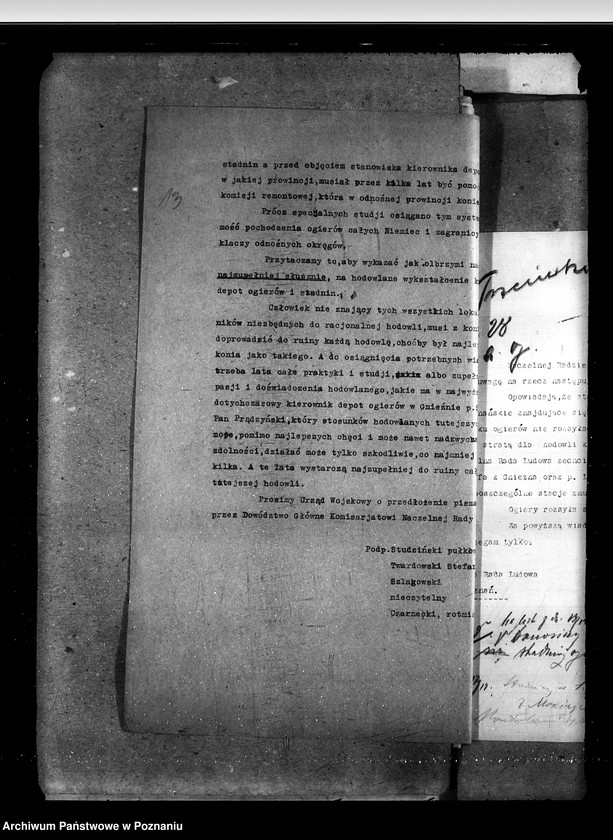 Obraz 19 z jednostki "Sprawy ogólne stadnin"