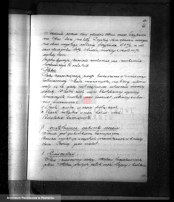 Obraz 10 z jednostki "Plan urządzenia gospodarstwa leśnego dla lasu majętności Piotrowo powiat szamotulski 1934-1944"