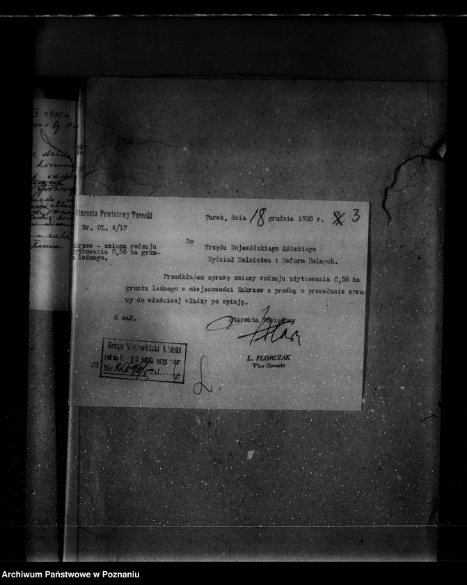 Obraz 7 z jednostki "Parcele leśne pod nazwą,,Zakrzew" powiat turecki"