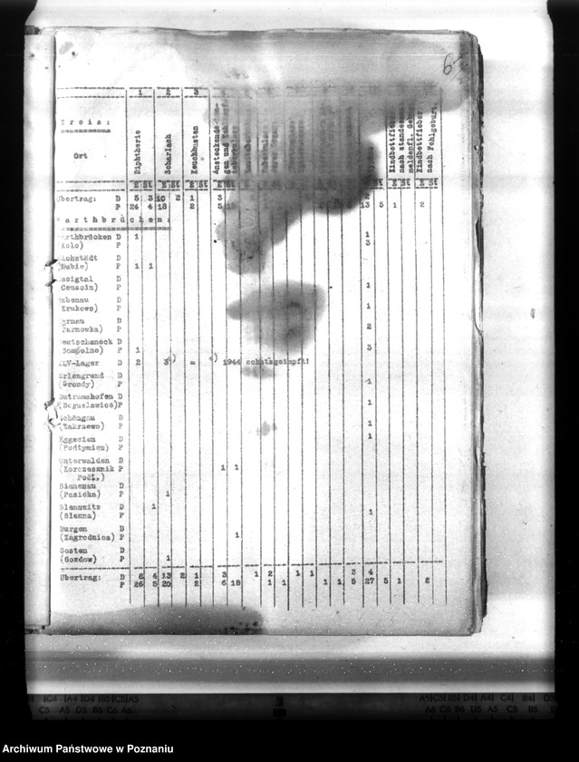 Obraz 11 z jednostki "Statistik der Krankheiten im Wartheland"
