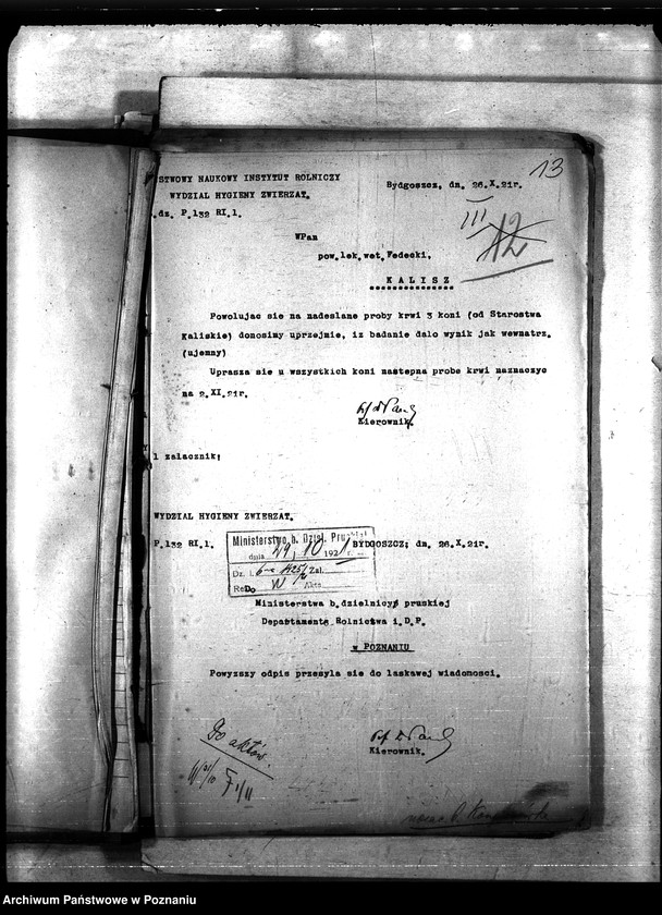 Obraz 17 z jednostki "Nosacizna - b. Kongresówka"