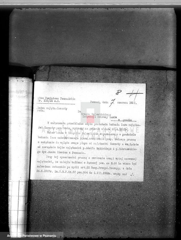 Obraz 12 z jednostki "Nadzór nad gospodarką w lasach majętności Koszuty powiat średzki"