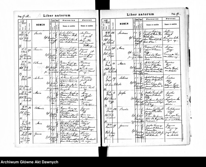 image.from.unit.number "Parafia: Grzymałów. Dekanat: Skałat. Księga metrykalna urodzeń, ślubów i zgonów dla miasta Grzymałów i wsi: Bucyki, Hlibów, Kałaharówka, Kozina, Leżanówka, Łysa Góra (Eleonorówka), Mazurówka, Okno, Ostapie*, Zarubińce*, Pajówka, Podlesie, Poznanka Hetmańska, Czechowa**, Wolica**."