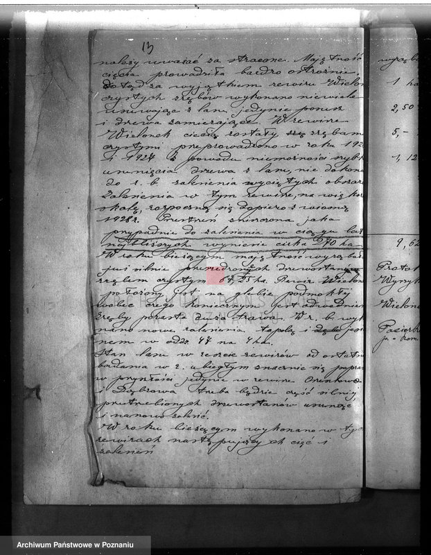 Obraz 17 z jednostki "Majętność leśna w Kwilczu w powiecie międzychodzkim"