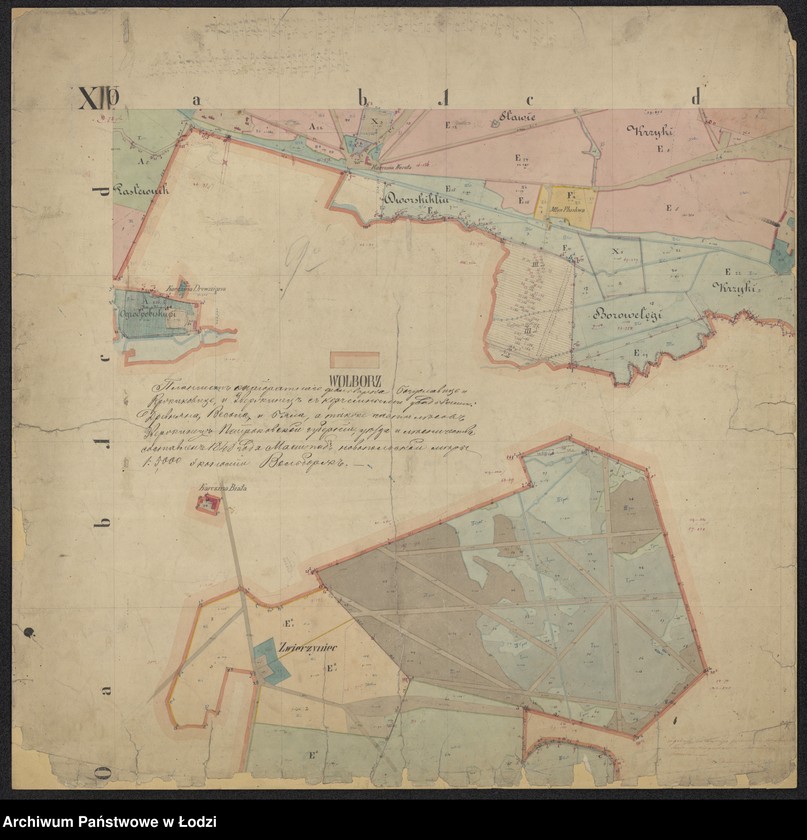 Obraz 4 z jednostki "Plan urządzenia majoratu Wolbórz"