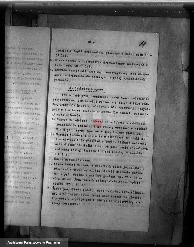 Obraz 19 z jednostki "Dodatkowy plan urządzenia gospodarstwa leśnego majątku Śródka powiat międzychodzki"
