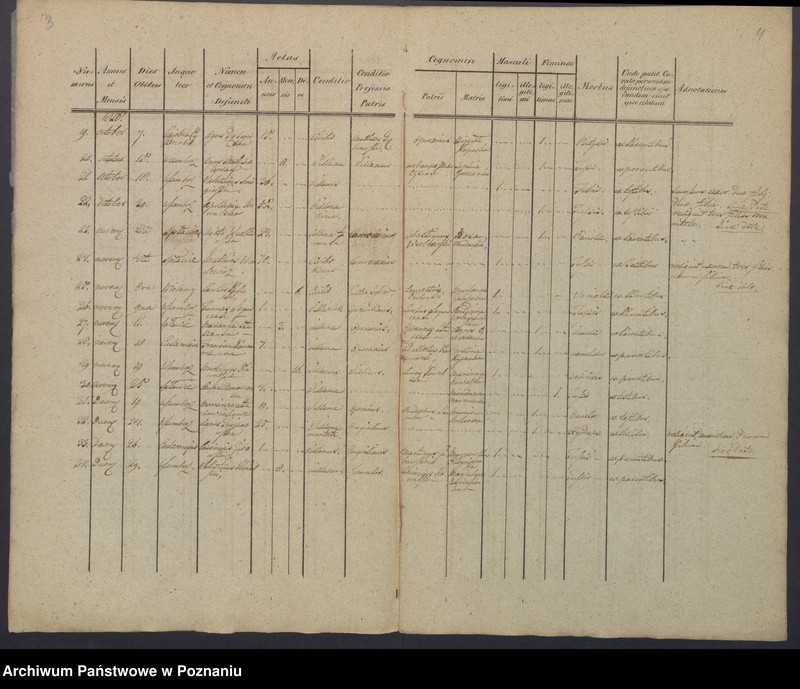 Obraz 5 z jednostki "Duplikat Libris Baptisatorum, Copulatorum, Mortuorum."