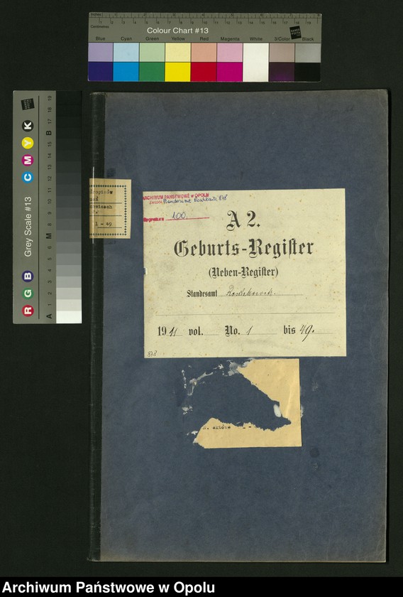 Obraz 2 z jednostki "Geburts-Register (Neben-Register) Standesamt Roschkowitz 1911 No.1 bis 49"