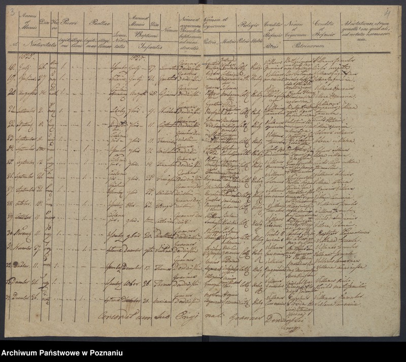 Obraz 5 z jednostki "Duplikat Natorum, Copulatorum, Mortuorum."