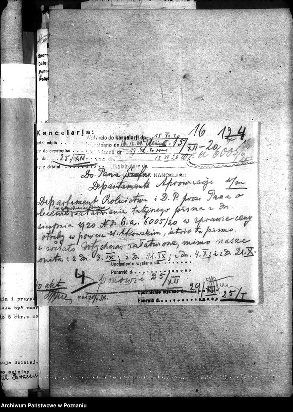 Obraz 20 z jednostki "Ziemiopłody - generalia"