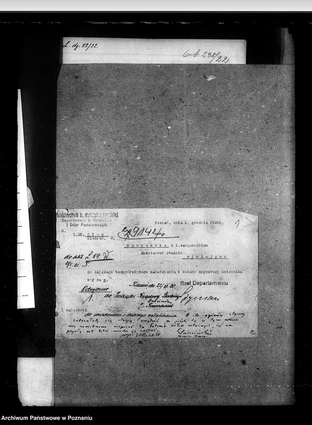 Obraz 5 z jednostki "Sprawy stadnin rozdział rządowych ogierów na stacjach"